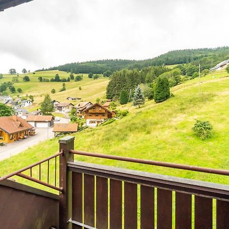 Winter-Nest Apartment Todtnau Luaran gambar
