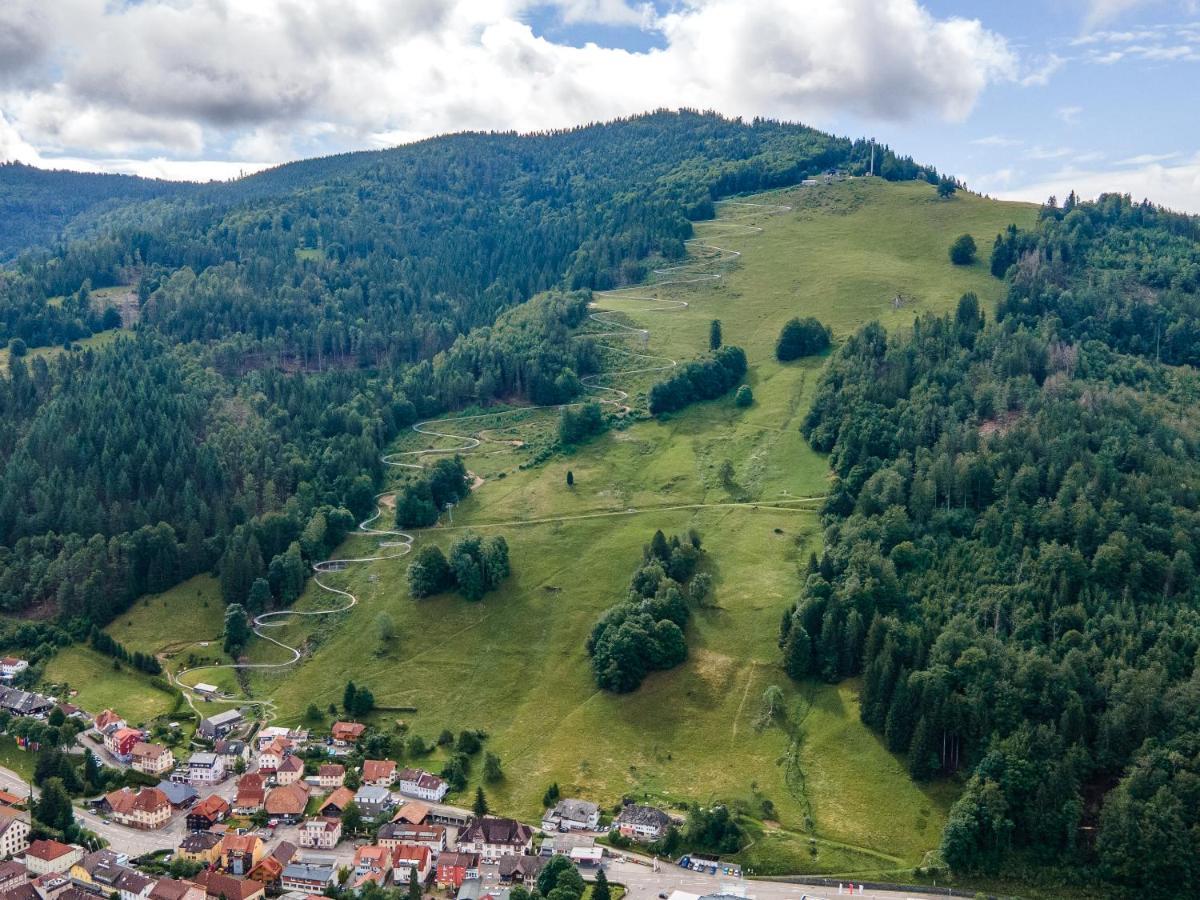 Winter-Nest Apartment Todtnau Luaran gambar