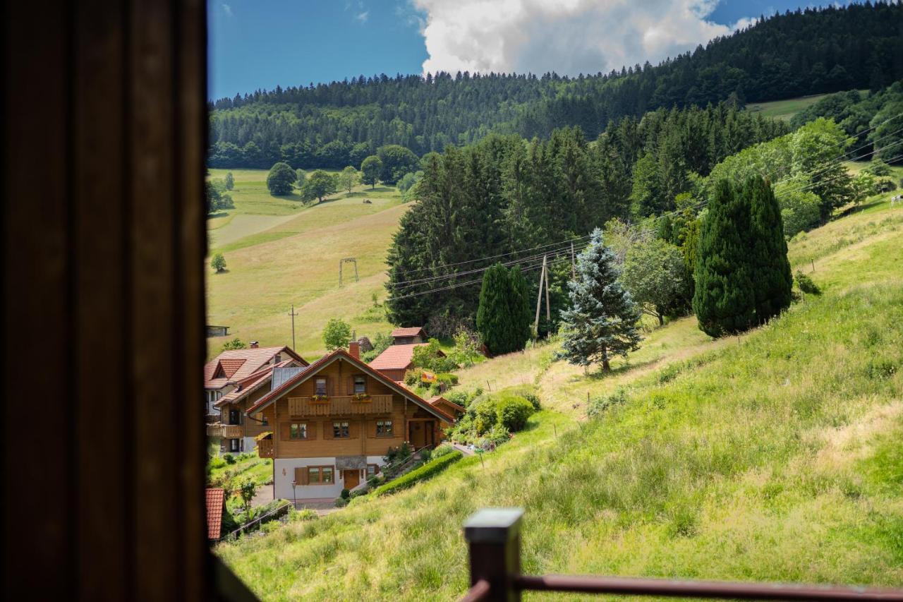 Winter-Nest Apartment Todtnau Luaran gambar
