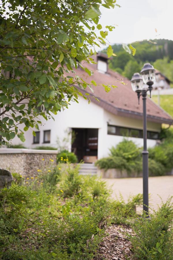Winter-Nest Apartment Todtnau Luaran gambar