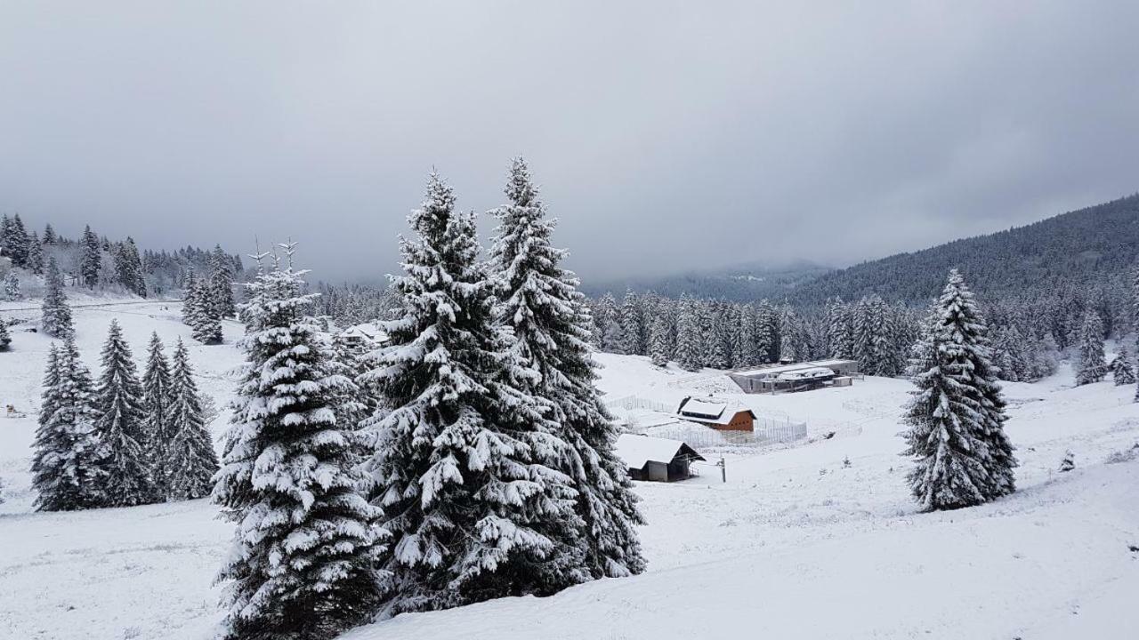 Winter-Nest Apartment Todtnau Luaran gambar